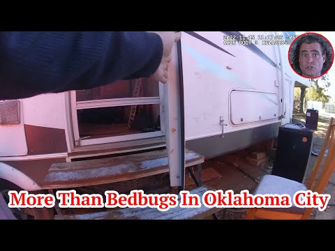 More Than Bedbugs In Oklahoma City