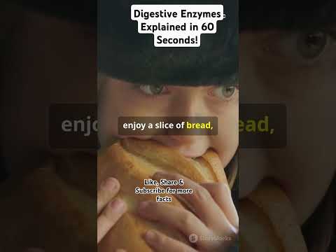 Digestive Enzymes Explained in 60 Seconds! #ytshorts #facts #metaboliccycle #superfoodsecrets #bloat