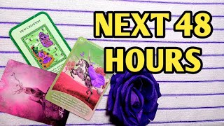 💚💜NEXT 48 HOURS-क्या होगा आगे ?TAROT LOVERS 111 |  TAROT CARD READING IN HINDI🧚‍♀️