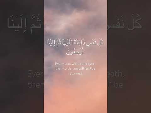 Surah Al’Ankabut ayah56-58#islamic #allah #islam #quran #quranrecitation #qurantranslation