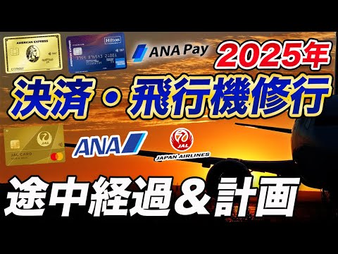 【2025年】クレカ決済・飛行機修行の途中経過＆計画！ANAはまだ…