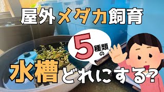 【容器なに使ってる？】メダカ飼育中の５つの水槽を検証！これに決定だ！【屋外めだかビオトープ】