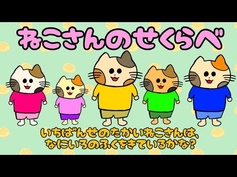 【子供向け】ねこさんのせくらべ【知育動画 大きい小さい 高い低い 背の順 高さ比べ クイズ 幼児 幼稚園】