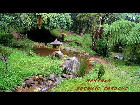 HAKGALA Botanic Gardens + Seetha Amman Temple in Sri Lanka Photoshow with Music