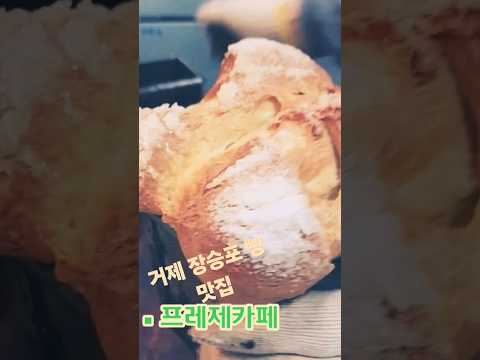 거제 여행 장승포해안도로벚꽃길 & 거제 장승포빵 맛집 ♡ 프레제카페  아침으로 내가 먹는 빵집 소개 #거제여행 #장승포여행 #거제빵맛집 #거제빵집 #프레제빵집 #아침