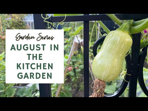 August in the Kitchen Garden- August Garden Tour 🍅🫑 | GARDEN SERIES