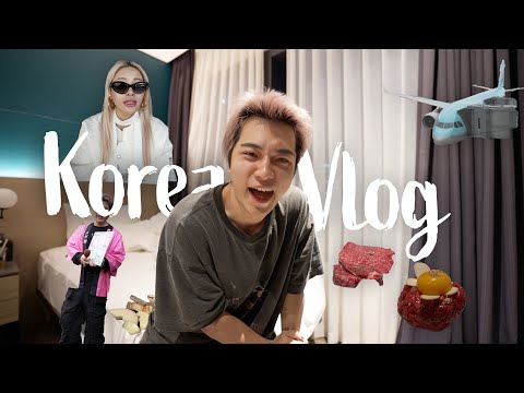 【Vlog】韓国に月1で行く日韓カップルの彼氏の方の仕事を公開する