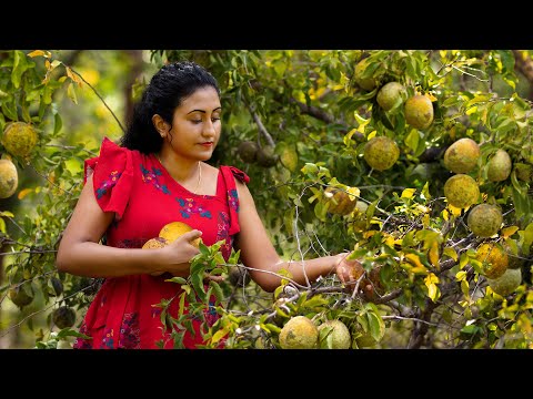 Bael fruit cake & Bael sugar candy! | Bael fruit recipes | Few of the ever pleasing tastes of father