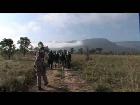 Prezi south africa promo.mov