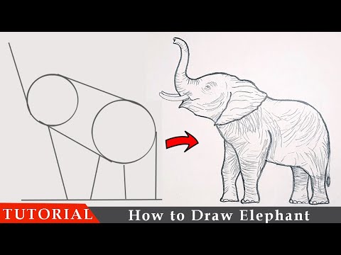 How to Draw an Elephant | Easy Method Tutorial