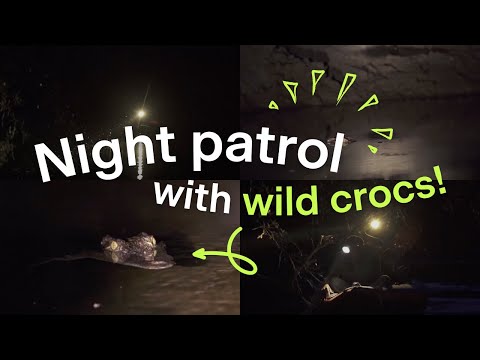 Siamese crocodile night patrols in Cambodia