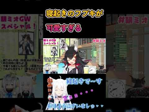 【 朝ミオ 】寝起きのフブキが可愛すぎる【 大神ミオ/ ホロライブ】