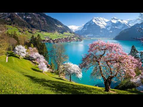 Beautiful Spring in Switzerland with Snowy Mountains | #swiss #swissview