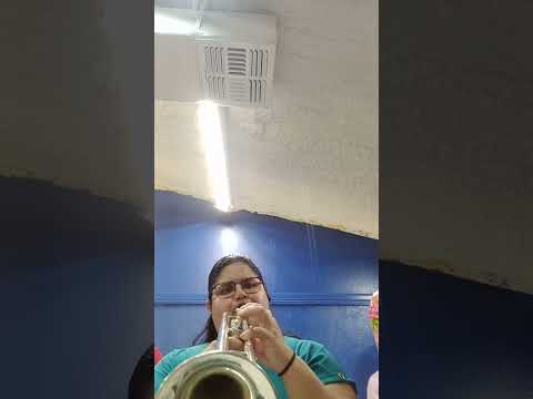 Gran Rey (Cantan Santo)Cover 🎺