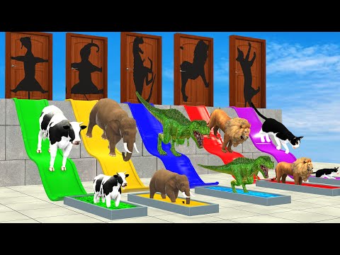 Don't Choose the Wrong Shape With Elephant Cow Lion Gorilla Cat Wild Animals LONG SLIDE Pool Game