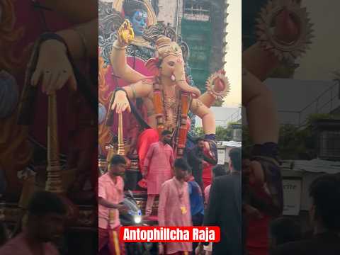 AntophillchaRaja #antophill #ganpati #ganeshvisarjan #girgaonchowpatty #mumbaifestivals #Maharashtra