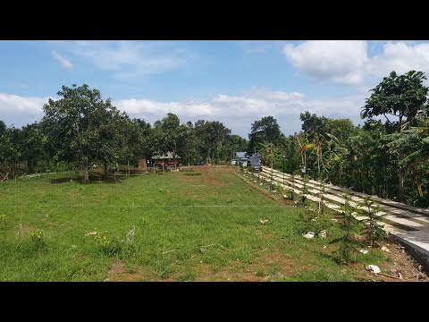 For Sale P3500 to P4000/SQM Lot Near Tagaytay Alfonso Cavite for 200 to 300sqm Lot Area