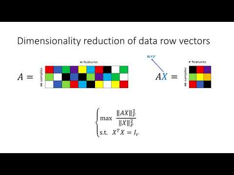 PCA by Determinant Optimization has no Spurious Local Optima