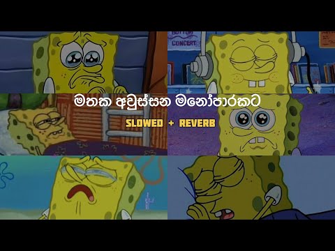 මතක අවුස්සන මනෝපාරකට | Slowed and Reverb Songs | manoparakata sindu Collection