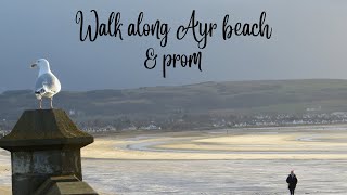 Walk along Ayr beach & promenade from pirate Petes to air India