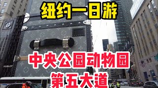 纽约一日游，中央公园动物园于1864年开园，为纽约市第一个政府成立的动物园，第五大道被称为“梦之街”这里聚集了许多著名的品牌商店