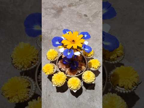 Uruli decoration 😍🥰🥰#flowerarrangement #positivevibes #ytshorts #uruli @sathyatamil24