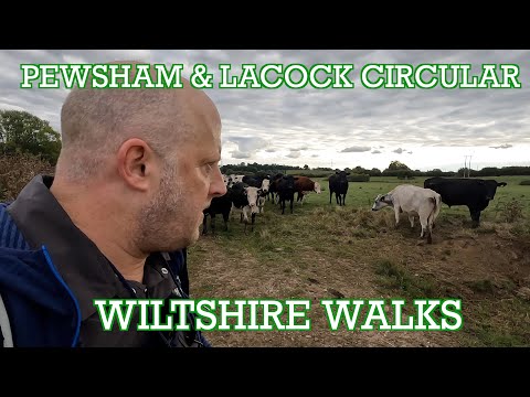 Pewsham & Lacock Circular |Wiltshire Walks | Cool Dudes Walking Club