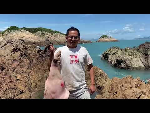 【阿向趕海】 25斤大豬腳打窩 竟導致八爪怪氾濫成災 與花鰻鬥智斗勇 大賣1700