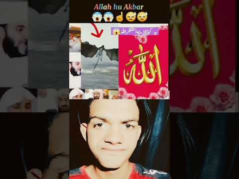 Miracle_Of_Allah☝️😱🥀_#shorts reaction motivation #reactionvideo #motivation #trending