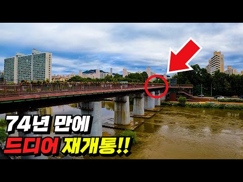 와.. 아직도 서울에 이런 곳이 있나요? | 74년전 모습을 그대로 간직한 서울 도심속 숨겨진 철길 트레킹 코스