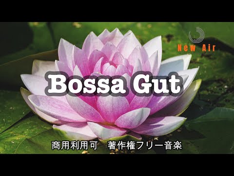 【商用利用可・Bossa Gut】#Lounge#instruments#Bossanova#Latin#gutguitar