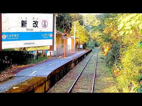 新改スイッチバック 後面展望【土讃線・阿波池田→高知】 #土讃線 #秘境駅