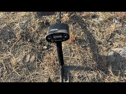 Metal detecting ￼