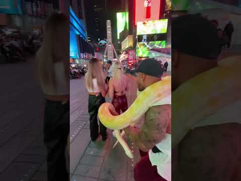 Lady #viral #nigh #snake #pranks #funnyvideo #surpise #usa #fear #fyp #prankchannel #shorts