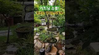 #접시 활용법 #바위솔 #재활용 가드닝#정원 소품 #만들기 #gardening #정원꾸미기 #가드닝 #shorts