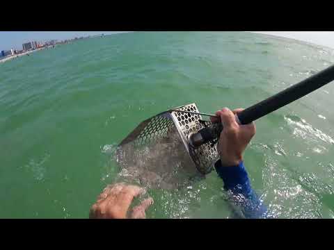 Beach Metal Detecting Florida with the Deus II