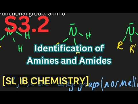 S3.2 Identification of Primary, Secondary and Tertiary Amines and Amides [SL IB CHEMISTRY]