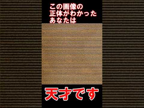 画像の正体がわかったあなたは◯◯です