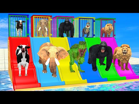 Long Slide Game With Cow Elephant Lion Gorilla T-Rex Buffalo Choose The Right Key Animal Cage Game