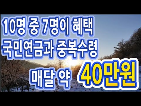 10명중 7명이 혜택을 받는 기초연금에 대해 알아보겠습니다 (국민연금과 중복수령이 가능하며 매달 약 40만원 최대 500만원까지 받는 연금)