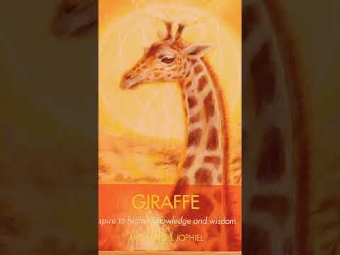 GIRAFFE SPIRIT #messagefromuniverse #animalmessages #angelmessages