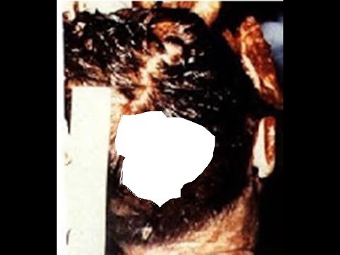 JFK file release NEW bullet evidence reveals killer !!!!!! bombshell !!!!