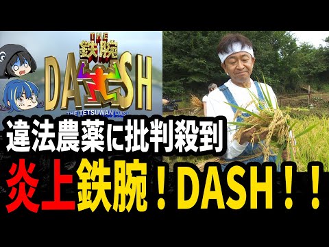 【ゆっくり解説】人気番組がやらかした。ザ！鉄腕！DASH！！炎上騒動６選