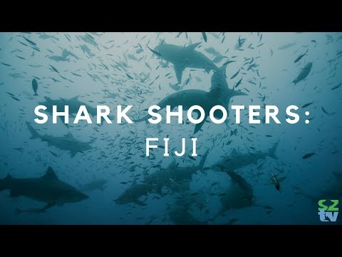 Bull Sharks in Fiji | Shark Shooters (S01E01)