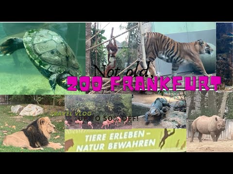 Frankfurt Zoo -2024 || Tiere Erleben - Natur Bewahren ||