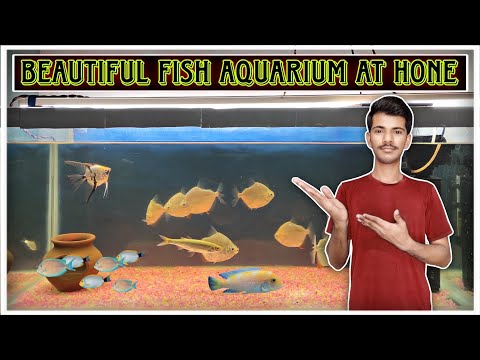 Beautiful Fish Aquarium At Home