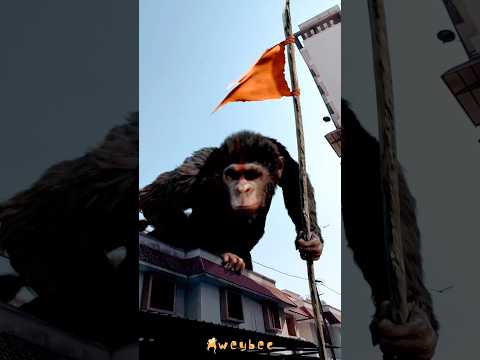 MONKEY KING IN INDIA #monkeyking