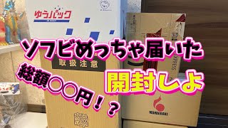 【ソフビ】総額◯◯円！？きもちぃ~~！