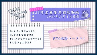 【23年産】調教動画②　BTC坂路コース　2024年11月下旬撮影