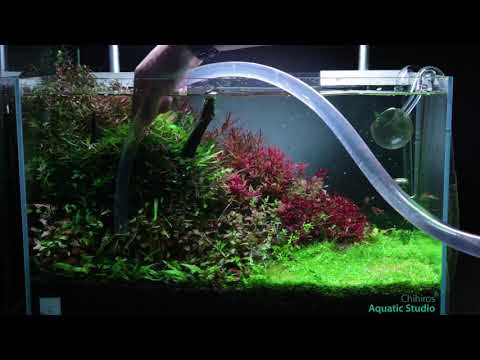 Second time maintencance for 60*30*60cm tank chihiros RGB VIVID